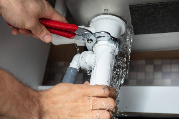 Best Flooded house restoration  in Mount Morris, MI