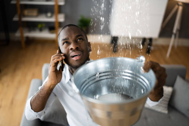 Best Ceiling water damage repair  in Mount Morris, MI