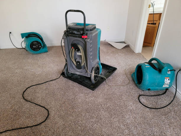 Best Water damage restoration services  in Mount Morris, MI