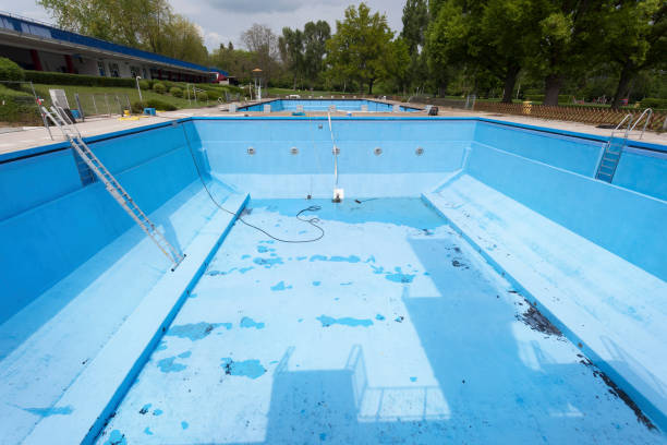 Best Water damage restoration near me  in Mount Morris, MI