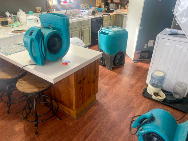 Best Flooded house restoration  in Mount Morris, MI