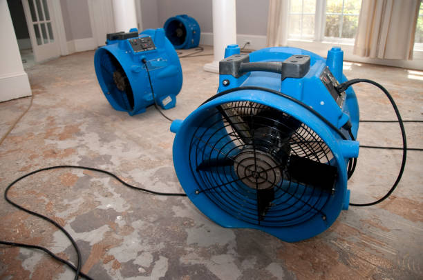 Professional Water damage restoration in Mount Morris, MI