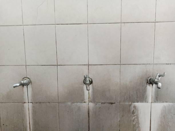 Best Flood damage cleanup  in Mount Morris, MI