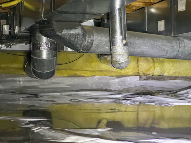 Best Emergency water damage restoration  in Mount Morris, MI