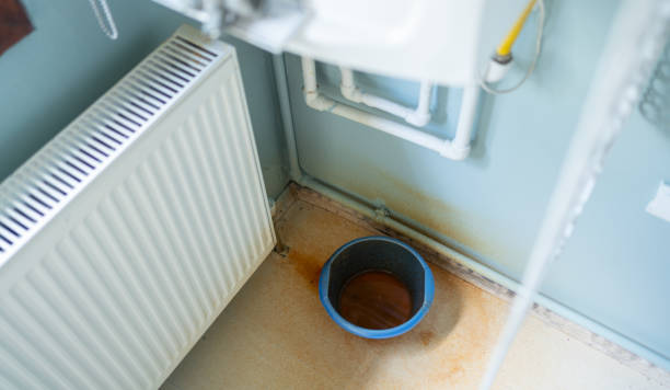 Best Water damage restoration near me  in Mount Morris, MI