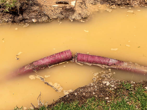 Best Water damage contractors near me  in Mount Morris, MI