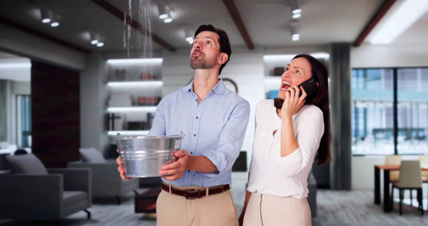 Water damage restoration insurance claims in Mount Morris, MI