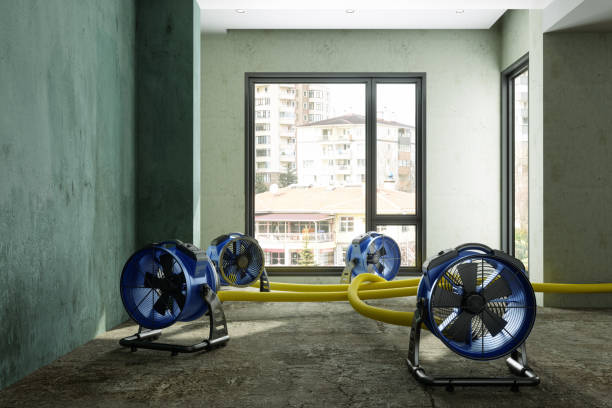 Best Water damage restoration near me  in Mount Morris, MI