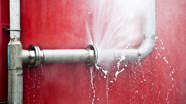 Best Sewage cleanup and water damage restoration  in Mount Morris, MI